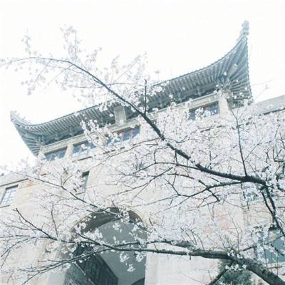 美国纽约曼哈顿区检察官办公室向中国返还38件文物艺术品